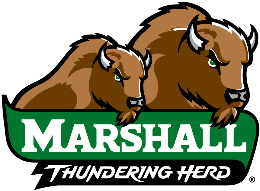 Marshall Thundering Herd 2001-Pres Alternate Logo v4 diy iron on heat transfer
